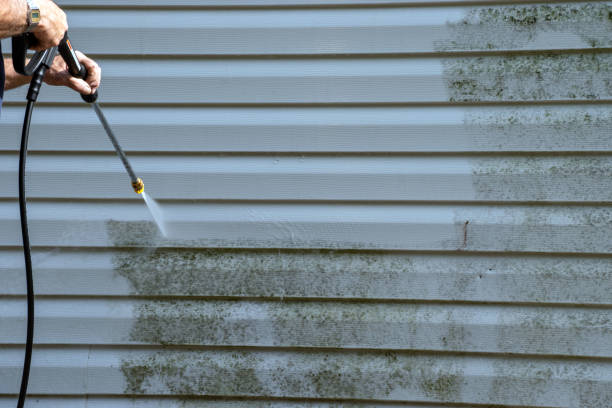 Best Basement Cleanout  in Johnson City, NY