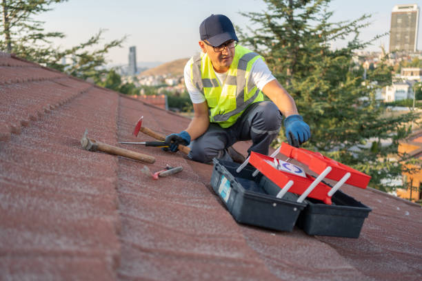Best Hoarding Cleanup  in Johnson City, NY