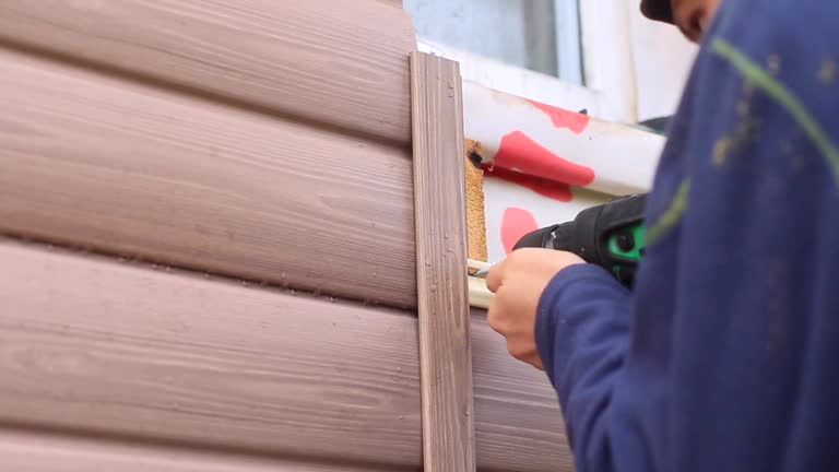 Best Shed Removal  in Johnson City, NY